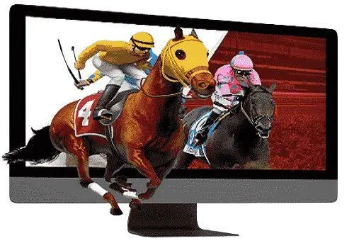 reddy anna horse racing